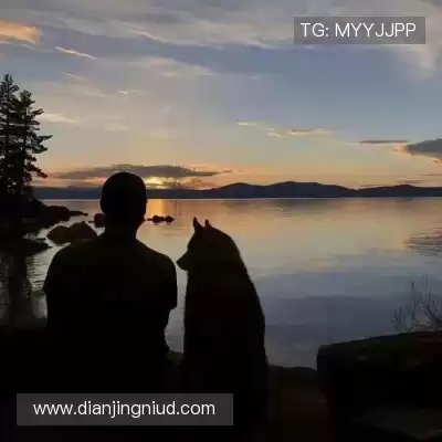 霍骏颉